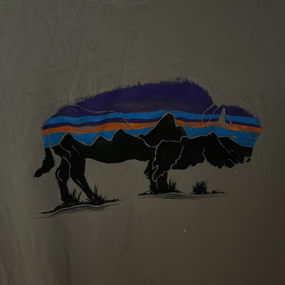 Patagonia t-shirt XS womens - Picture 2 of 3